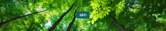 SBTi